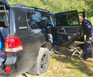 Warszawa. 23-latka szukała pracy, została uwięziona przez czterech mężczyzn