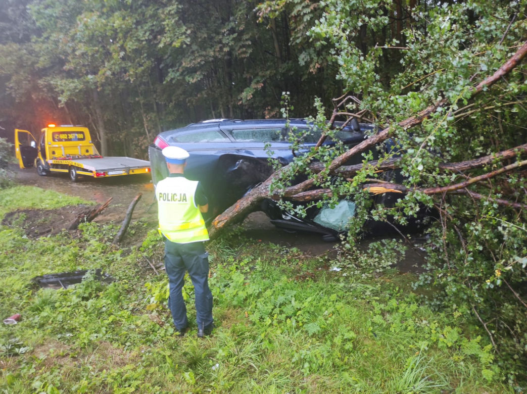 Toruń: Ford Mondeo wylądował na drzewie. Kierowca miał mnóstwo szczęścia