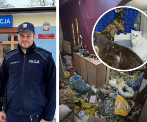 Policjant interweniował w sprawie zwierząt z Łochowa. „Futro ruszało się od robactwa”. Właścicielka potrzebowała pomocy [GALERIA]
