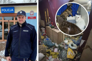 Policjant interweniował w sprawie zwierząt z Łochowa. „Futro ruszało się od robactwa”. Właścicielka potrzebowała pomocy [GALERIA]