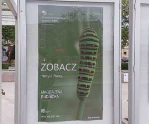 Wystawa zdjęć motyli i ciem w iławskiej Galerii Jazzowej