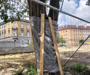 Remont Placu Drzewnego w Tarnowie