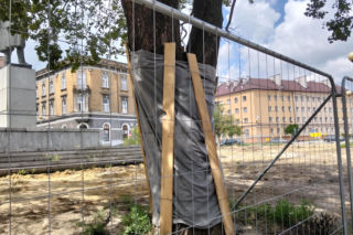 Remont Placu Drzewnego w Tarnowie