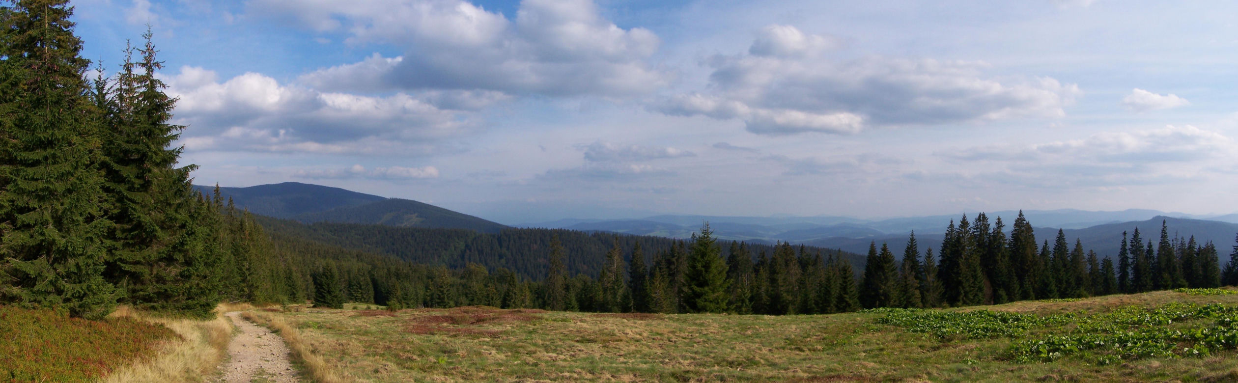 Szlak na Rysiankę