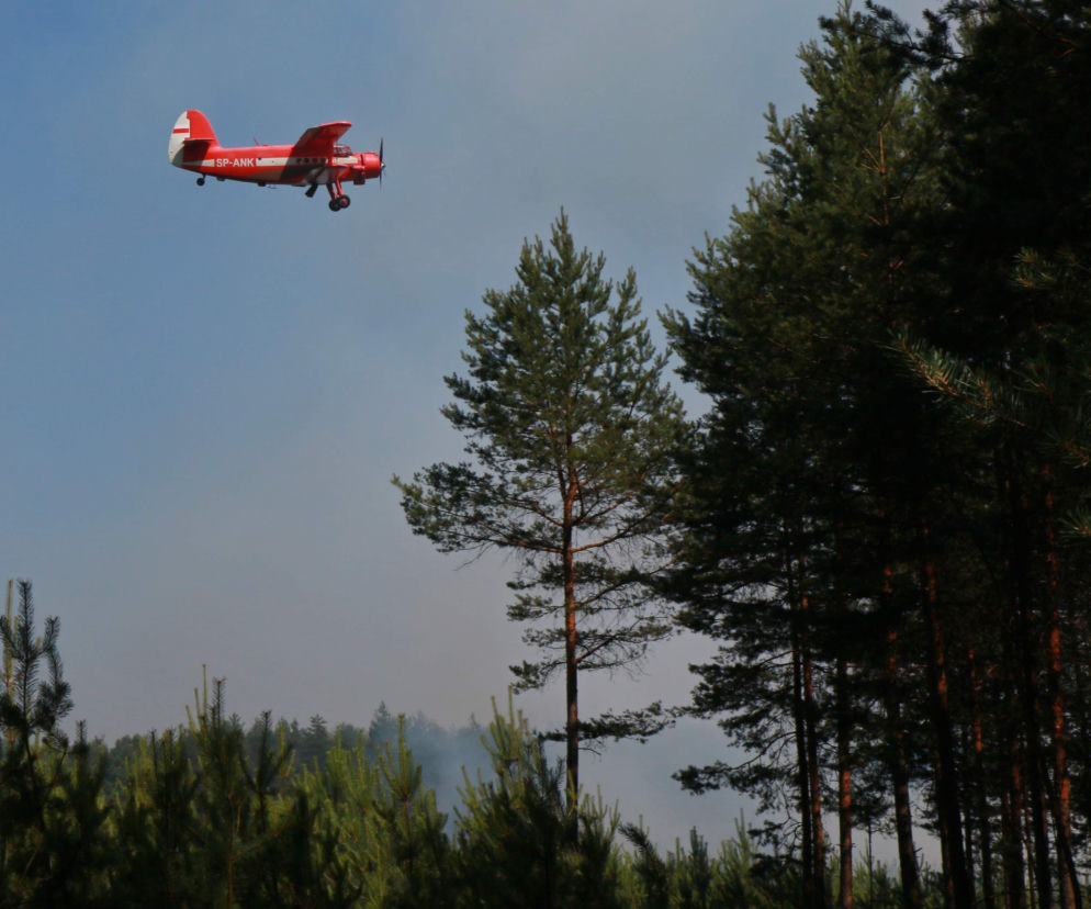 Antonov