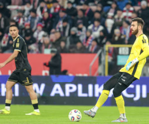 Górnik Zabrze - Pogoń Szczecin: Zdjęcia kibiców z meczu 22. kolejki PKO BP Ekstraklasy