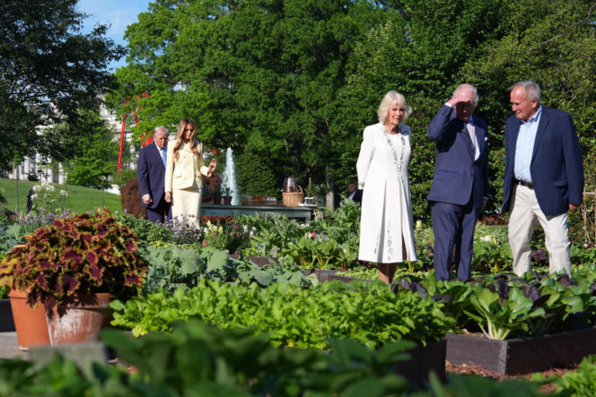 Król Karol i królowa Kamila u Trumpów. Melania dała im herbatę, a potem pokazała pasiekę w kształcie Białego Domu