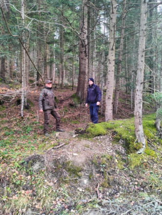 Żywa choinka tak, ale tylko legalnie kupiona. Przypominają leśnicy i policjanci!