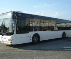 Woody Allen w  toruńskim autobusie MZK? Zawsze miej bilet!