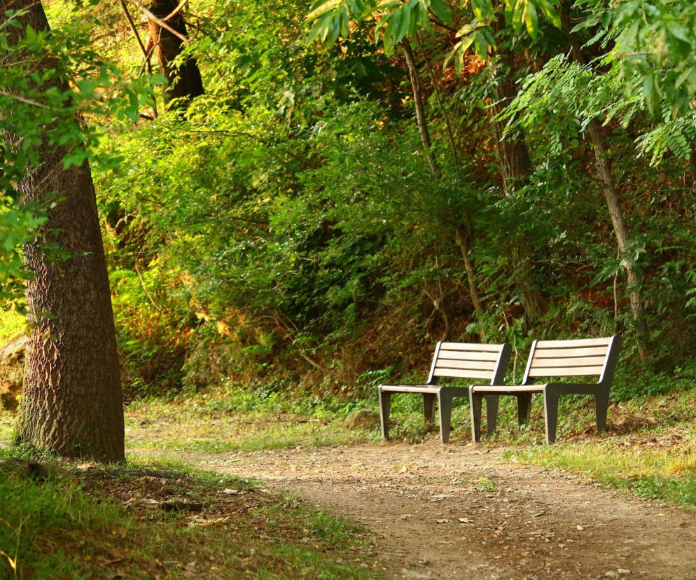 Dwie nowoczesne ławki parkowe stoją wzdłuż piaszczystej ścieżki, otoczone gęstą zielenią drzew i krzewów, oświetlone promieniami słońca. Ten krajobraz symbolizuje nowe miejsca rekreacji w gminie Głusk, o czym przeczytasz więcej na naszym portalu.