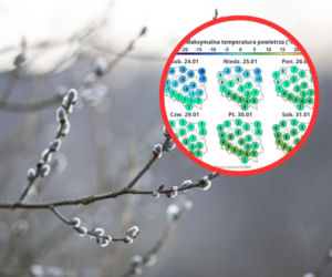 Powiew wiosny w środku zimy w Polsce. Temperatura wystrzeli!