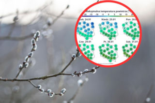 Powiew wiosny w środku zimy w Polsce. Temperatura wystrzeli!