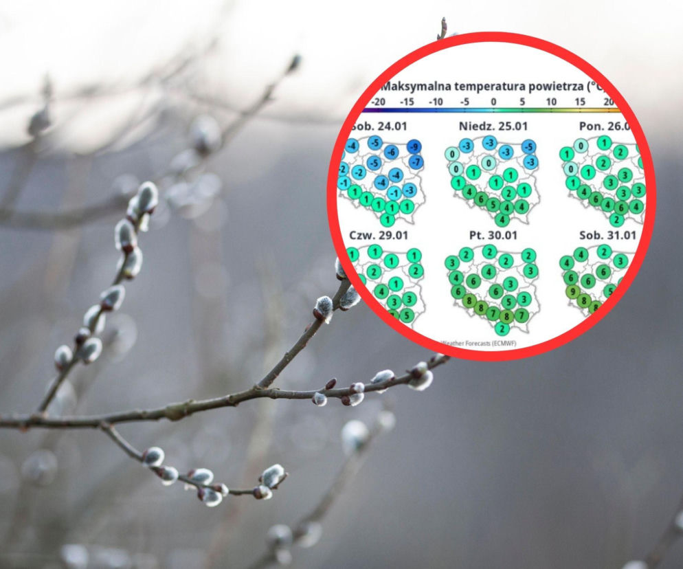 Powiew wiosny w środku zimy w Polsce. W ostatnim tygodniu stycznia zrobi się ciepło 