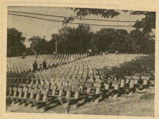 Amfiteatr na Woli Justowskiej