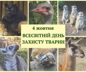Warszawiacy pomogli ukraińskiemu zoo. Ogromny transport darów dla zwierząt już dotarł na miejsce