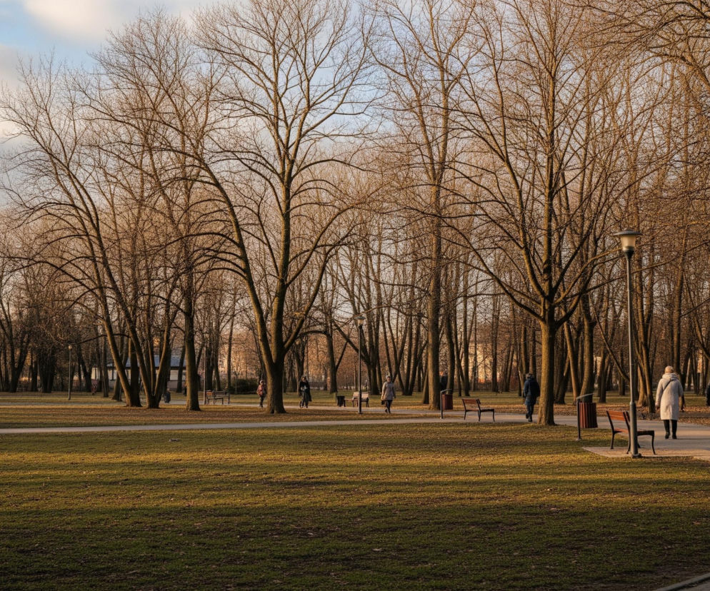 Rozległy park zimą, z licznymi drzewami bez liści, dominuje w centrum kadru i na tle obrazu. Słońce, nisko na niebie, rzuca długie cienie na trawniki, oświetlając korony drzew ciepłym, złotym światłem i nadając pniom brązowy odcień. Kręta ścieżka z kostki brukowej biegnie przez park, wzdłuż której rozmieszczone są ławki, kosze na śmieci i latarnie, a po niej spacerują pojedynczy ludzie ubrani w płaszcze. Nad całością rozciąga się błękitne niebo z delikatnymi, białymi chmurami.