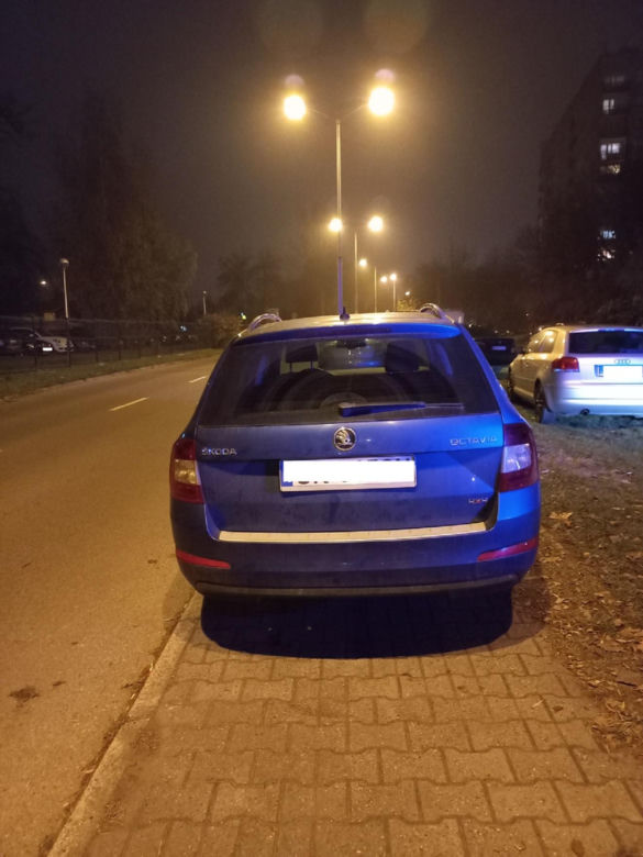 Tak parkują "miszczowie parkowania" z Katowic. Strażnicy miejscy rozkładają ręce 