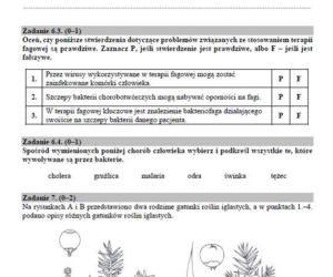 Matura 2019 biologia - poziom rozszerzony
