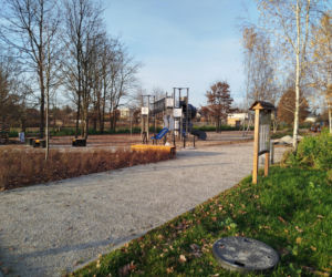 Park kieszonkowy Siedlce, ul. Traugutta