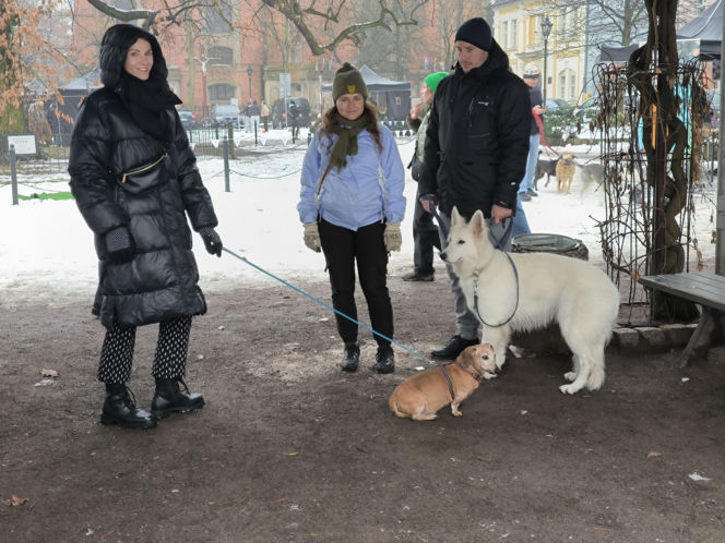 Spacer z pieskami w Lesznie