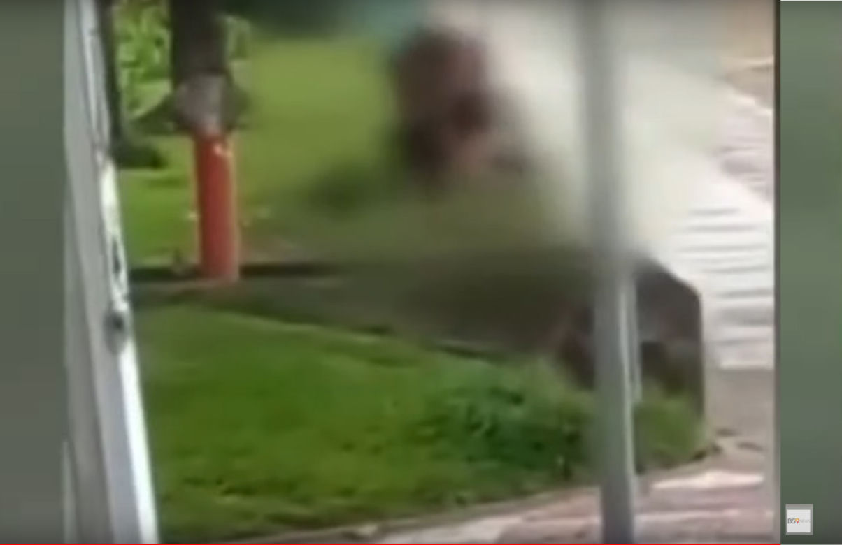 Uprawiali seks na ulicy w biały dzień! Film trafił do sieci