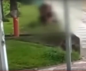 Uprawiali seks na ulicy w biały dzień! Film trafił do sieci