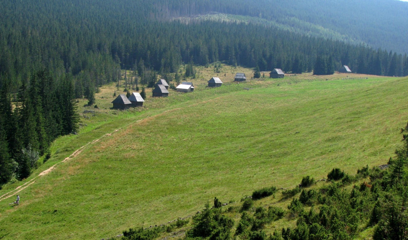 Polana Kopieniec