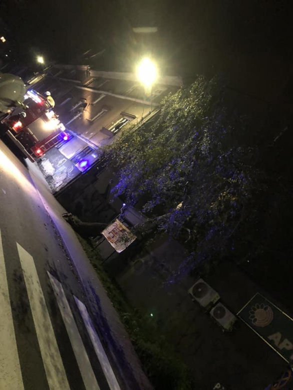 Potężne wichury w Beskidach łamią drzewa. Interweniują strażacy