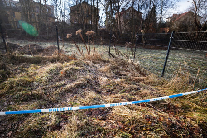 Zabójstwo 11-latki w Jeleniej Górze