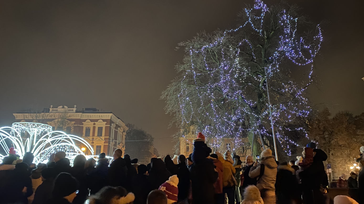 "Odpalamy się na Święta". Świąteczny blask w Zielonej Górze