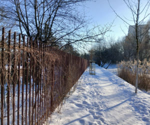 Ogródki działkowe do likwidacji w związku z budową tramwaju na Gocław