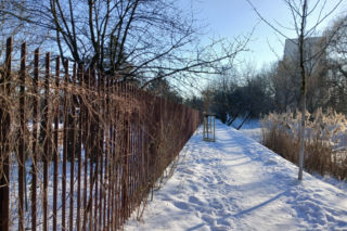 Ogródki działkowe do likwidacji w związku z budową tramwaju na Gocław