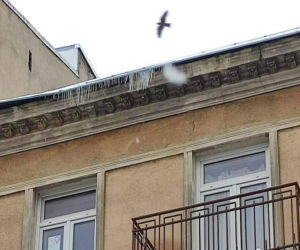 Sypią się mandaty za nieodśnieżone chodniki i dachy