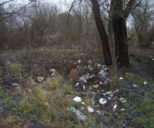 Nielegalne śmieci 