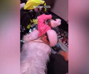 Ukraińcy pławią się w luksusie i bawią w najlepsze? Tak naprawdę wygląda Bukovel