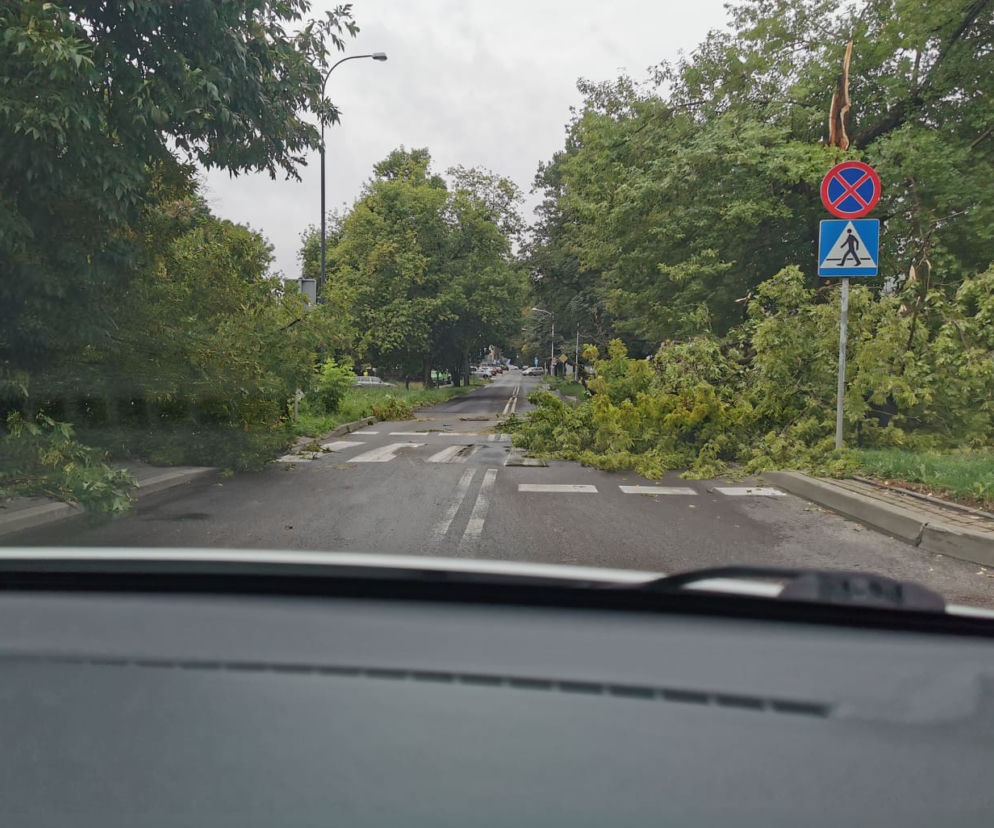 Przez Lublin przeszła potężna nawałnica. Trwa usuwanie jej skutków. 