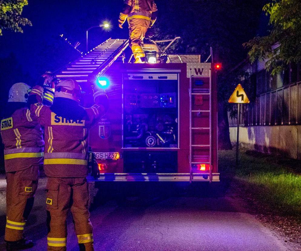Kot przesiedział na drzewie kilkanaście godzin, nie potrafił sam zejść