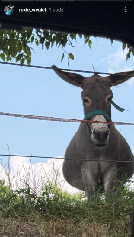 Roxie Węgiel wyjechała z Polski i pokazała piękne kadry! Tak piosenkarka spędza czas na wakacjach