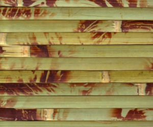 BUDMA 2013 Bamboo-Decor