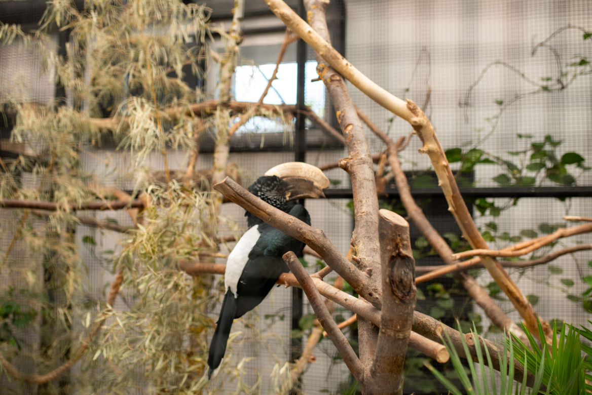 Ogród zoologiczny im. Stefana Milera w Zamościu