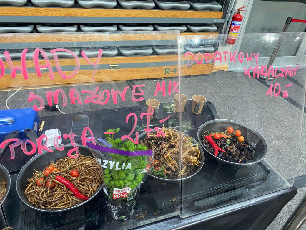 Zooegotyka w Zielonej Górze. Do hali CRS przybyły tłumy