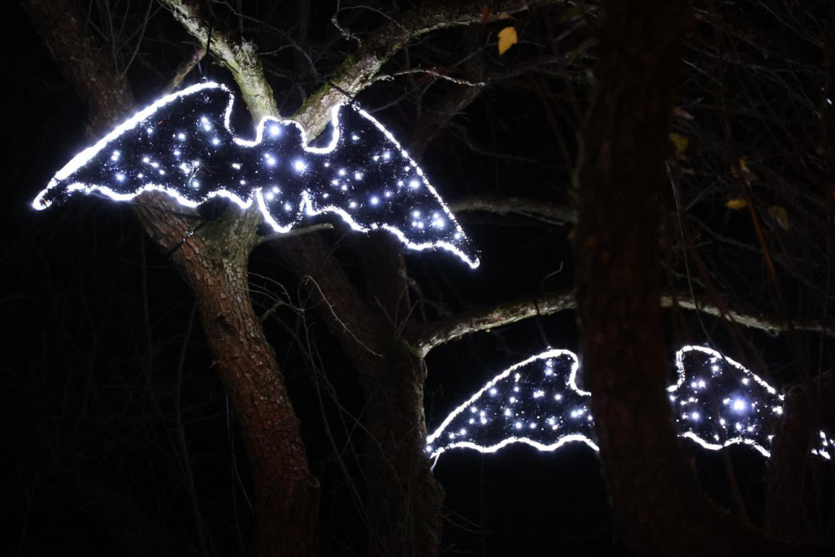 Park iluminacji 2023 w Lublinie