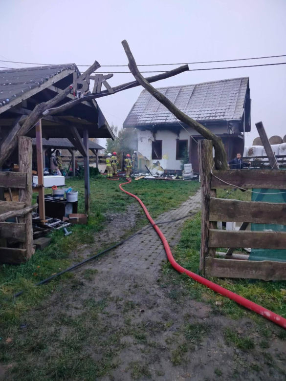 Cztery urocze szczeniaki uratowane z pogorzeliska. Nieprawdopodobne, gdzie ukryły się podczas pożaru