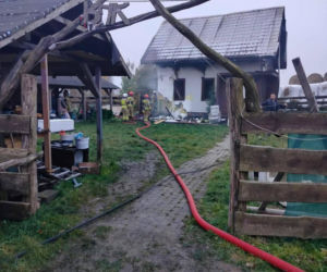 Cztery urocze szczeniaki uratowane z pogorzeliska. Nieprawdopodobne, gdzie ukryły się podczas pożaru