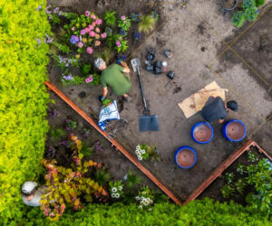 Murator Ogroduje, realizacje