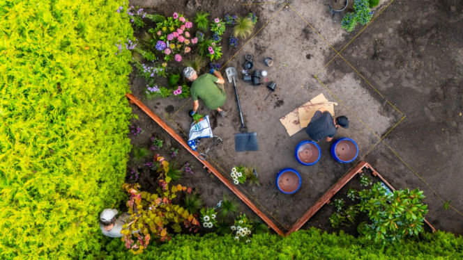 Murator Ogroduje, realizacje