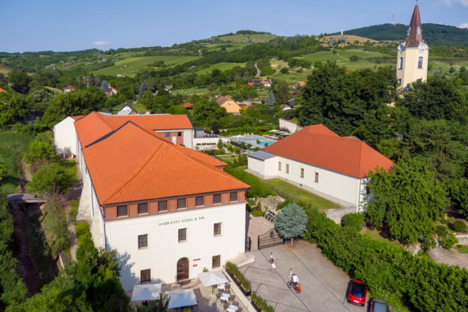 Wczesne winobranie otwiera jesienny sezon na Węgrzech