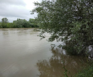 Wysoki Dunajec pod Tarnowem! Biała przy Azotach też przybiera