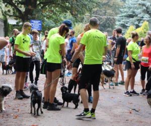 VIII Piknik Przyjaciół Schroniska w Toruniu