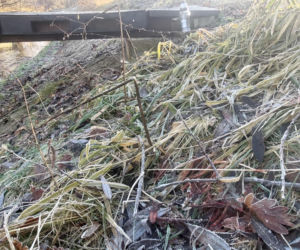 Ciało 11-letniej dziewczynki odnalezione niedaleko szkoły. Tragedia w Jeleniej Górze